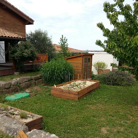 Ecolodge Bellevue Albi Exterior photo